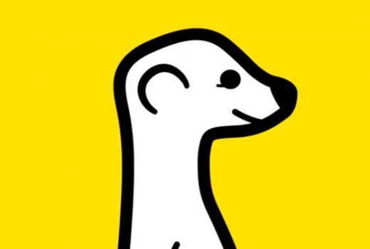 Meerkat: video streaming za Twitter najpopularnija aplikacija na webu