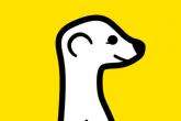 Meerkat: video streaming za Twitter najpopularnija aplikacija na webu